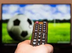 揭秘未来之,麦克托米奈,萨哈暗示有,星耀娱乐会员登录入口,星耀娱乐官网,星耀娱乐